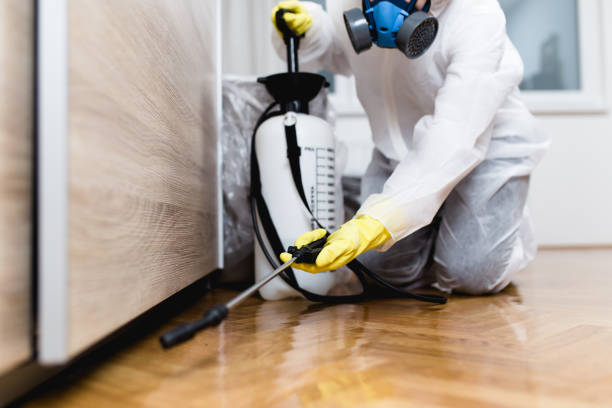 Best Affordable Pest Control Services  in Fredonia, KS