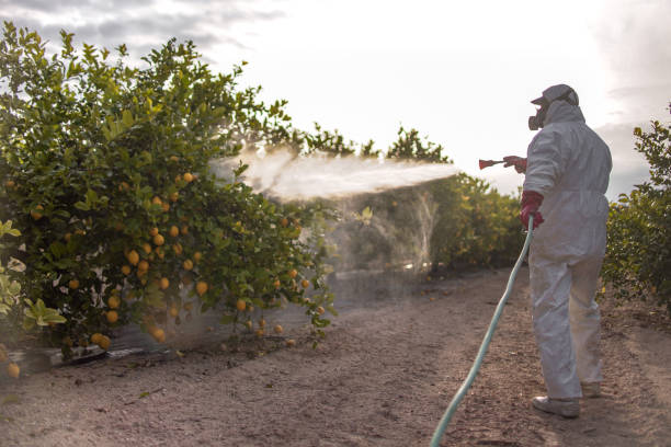 Best Exterminator Services  in Fredonia, KS