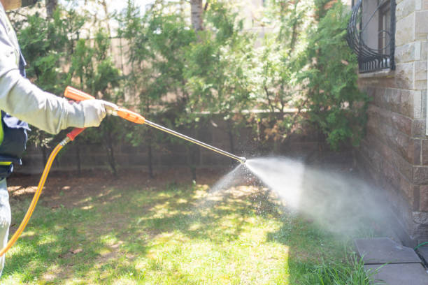 Best Termite Control Services  in Fredonia, KS