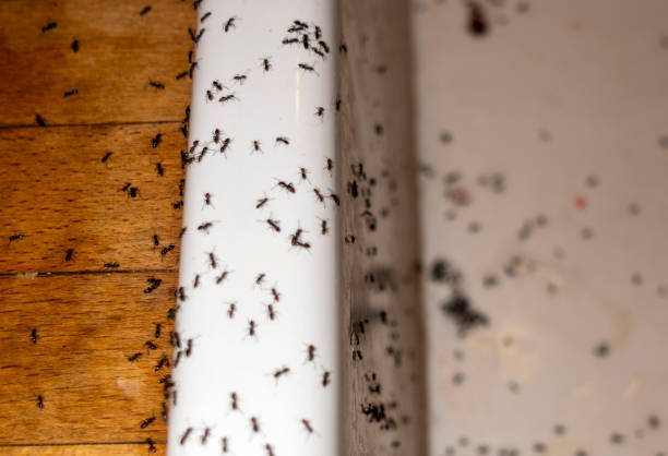 Best Pest Control Cost  in Fredonia, KS