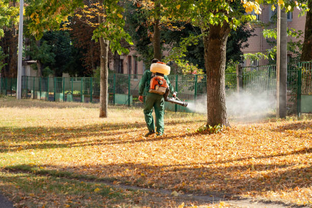 Trusted Fredonia, KS Pest Control Experts