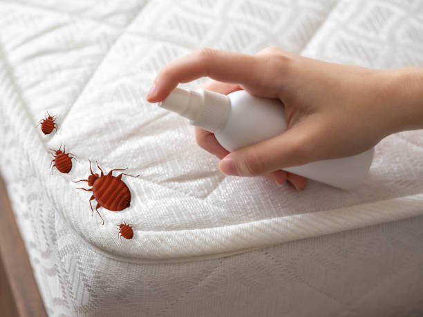 Best Pest Inspection Near Me  in Fredonia, KS