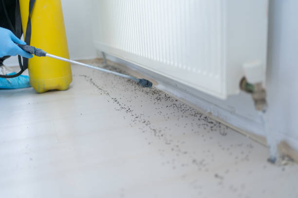Best Emergency Pest Control  in Fredonia, KS