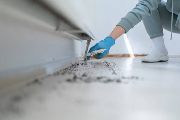 Best Pest Control Near Me  in Fredonia, KS